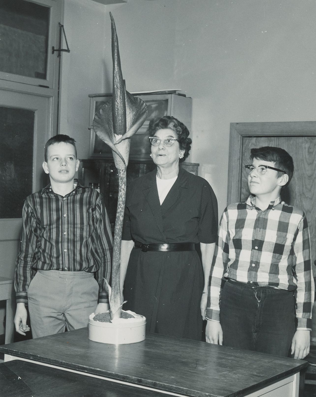 1950s